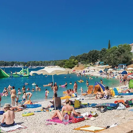Lovely In With Wifi * Póla